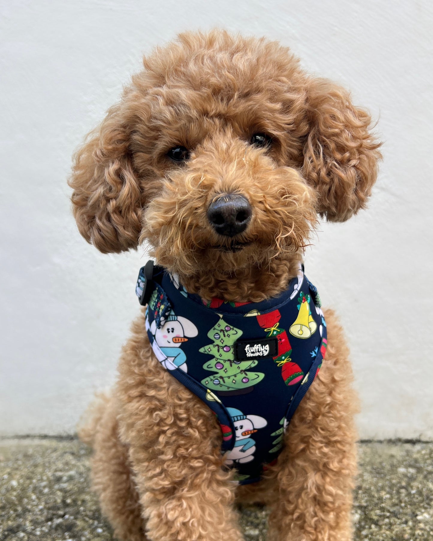 Adjustable Dog Harness - Do you wanne build a snow dog?