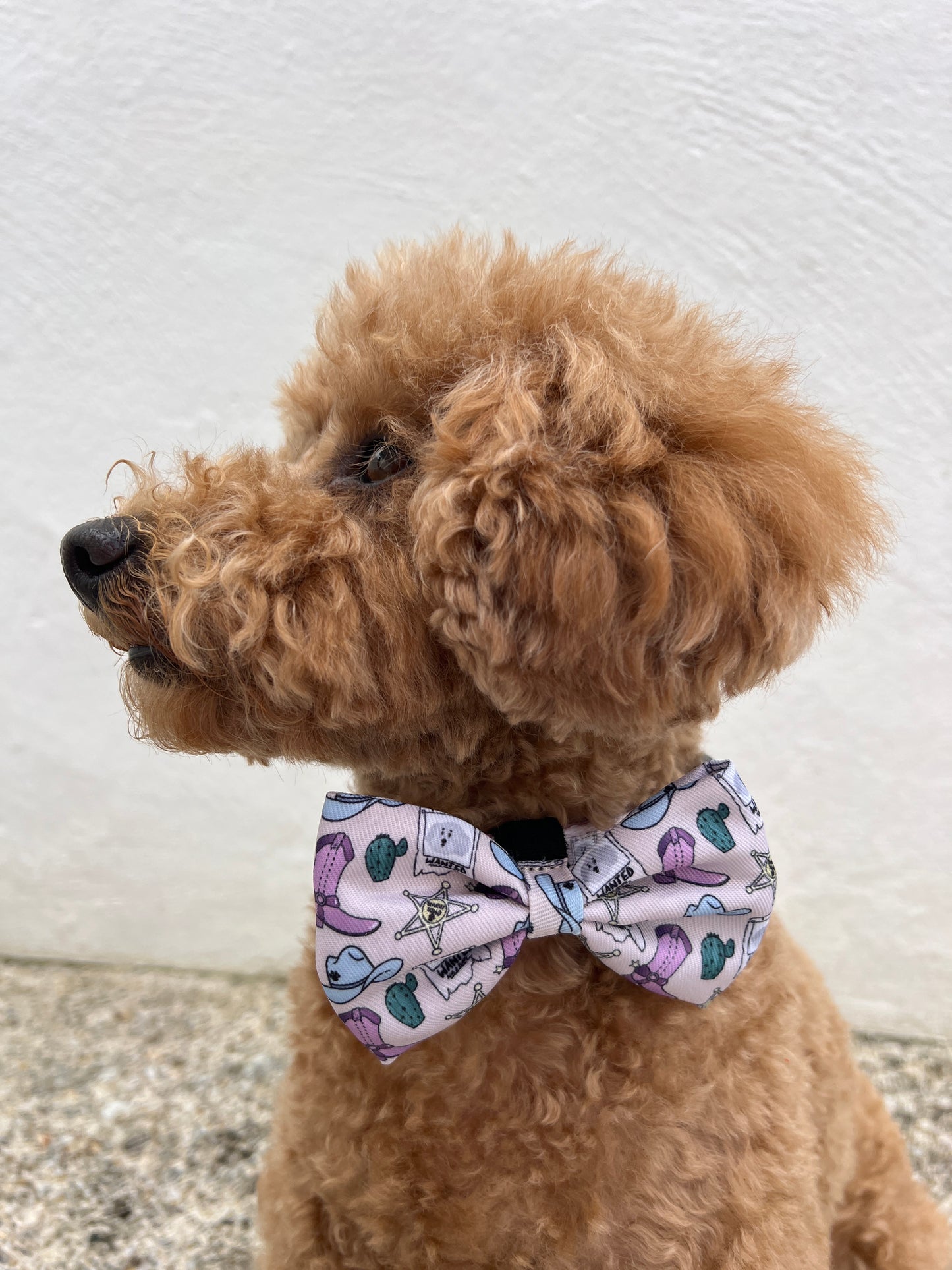 Bow Tie - YEHAAA Hun!
