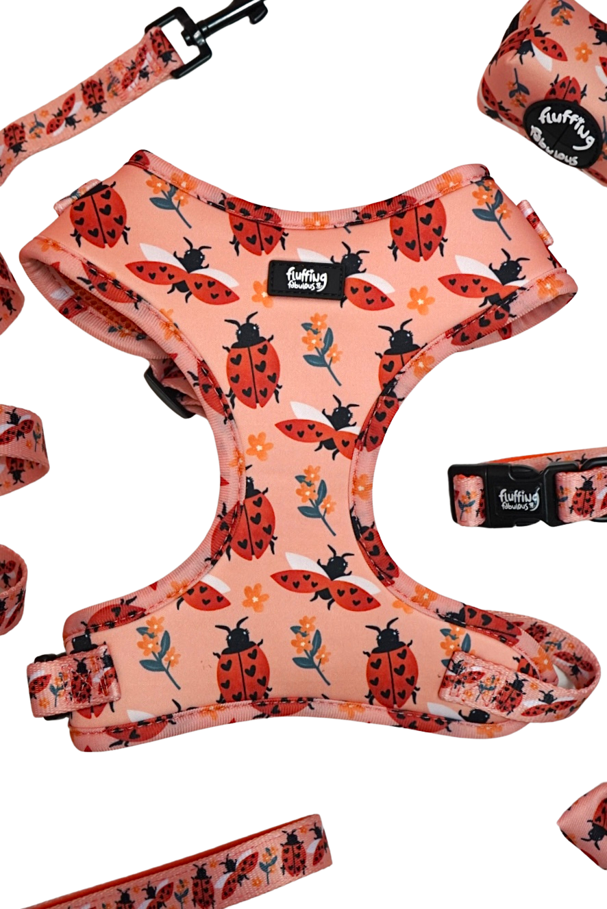 SNUG LIKE A LADY BUG ESSENTIALS BUNDLE