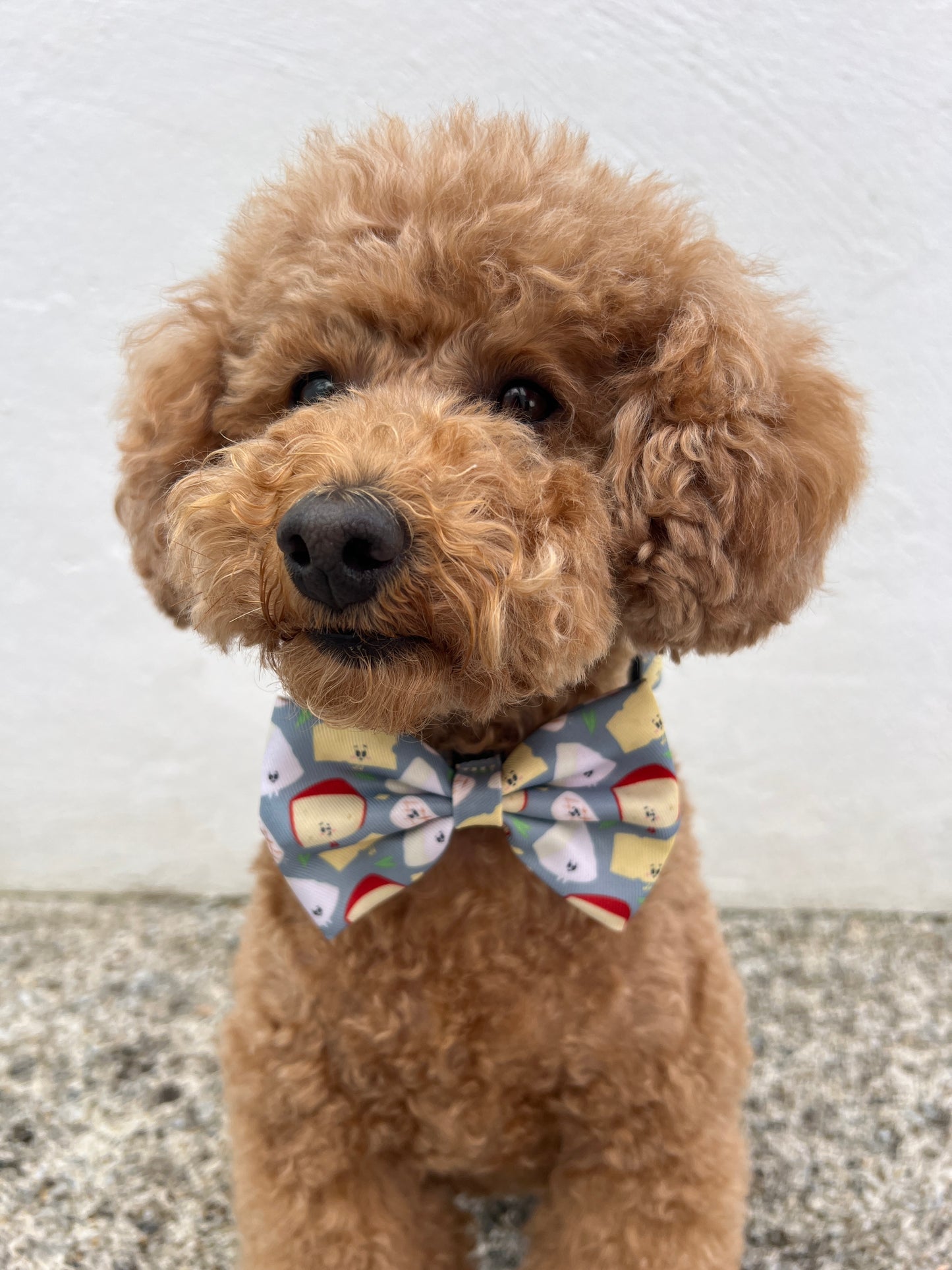 Bow Tie - We Brie'long Together