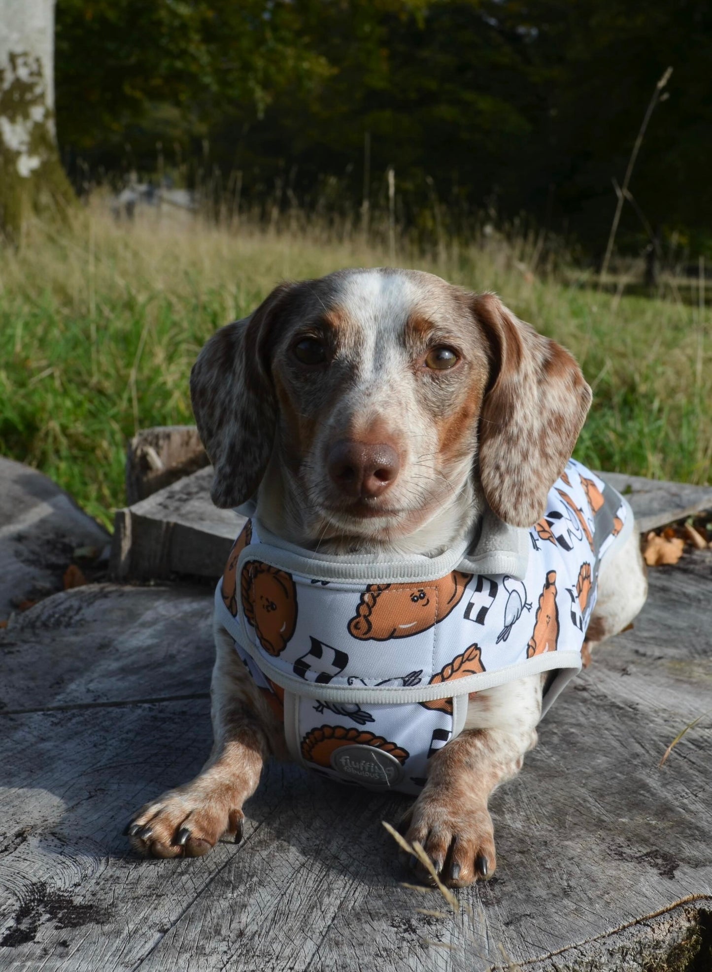 Rain Jacket - Oggy Oggy Doggy