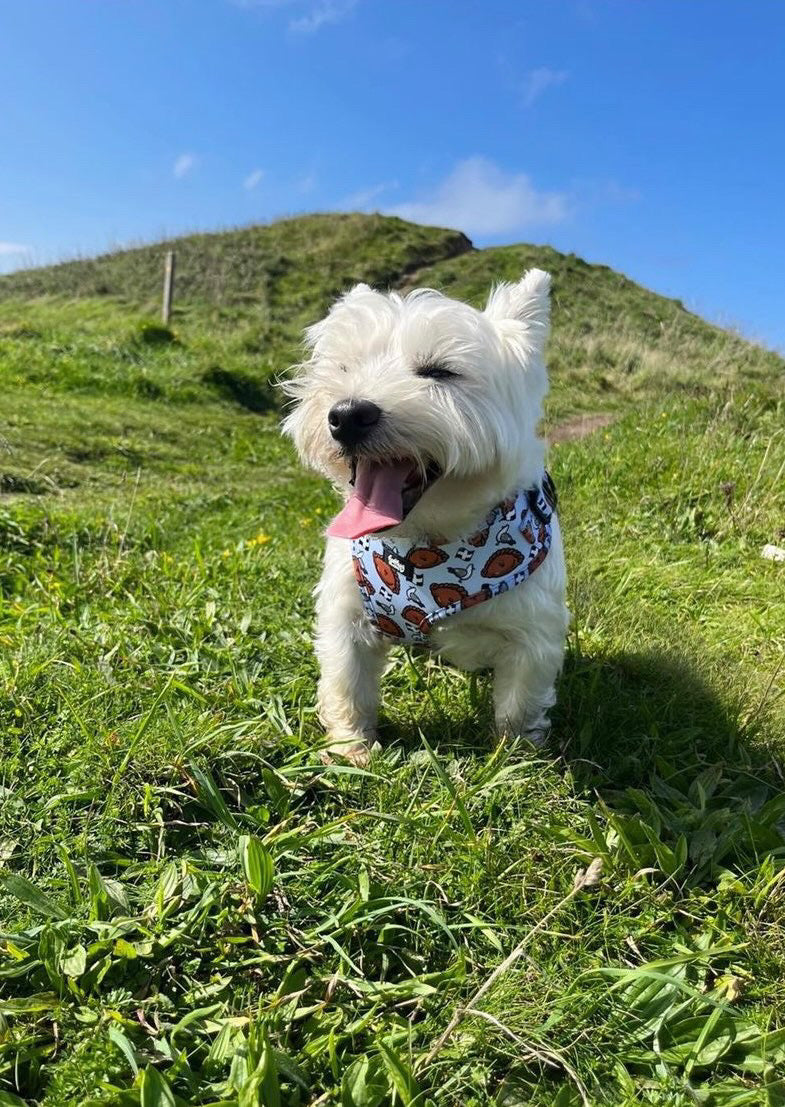Adjustable Dog Harness - Oggy Oggy Doggy!