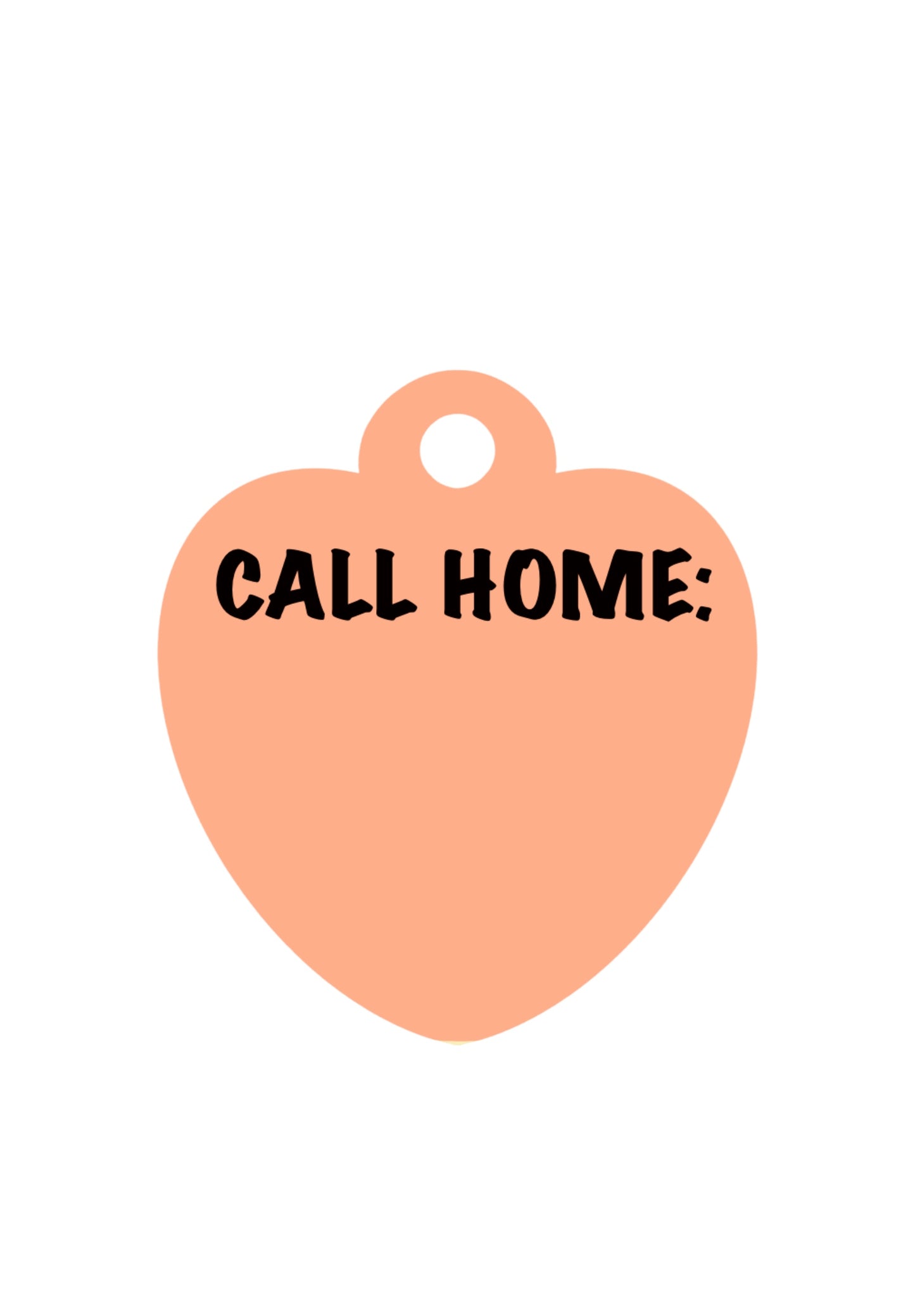 Name Tag - Snug Like A Ladybug