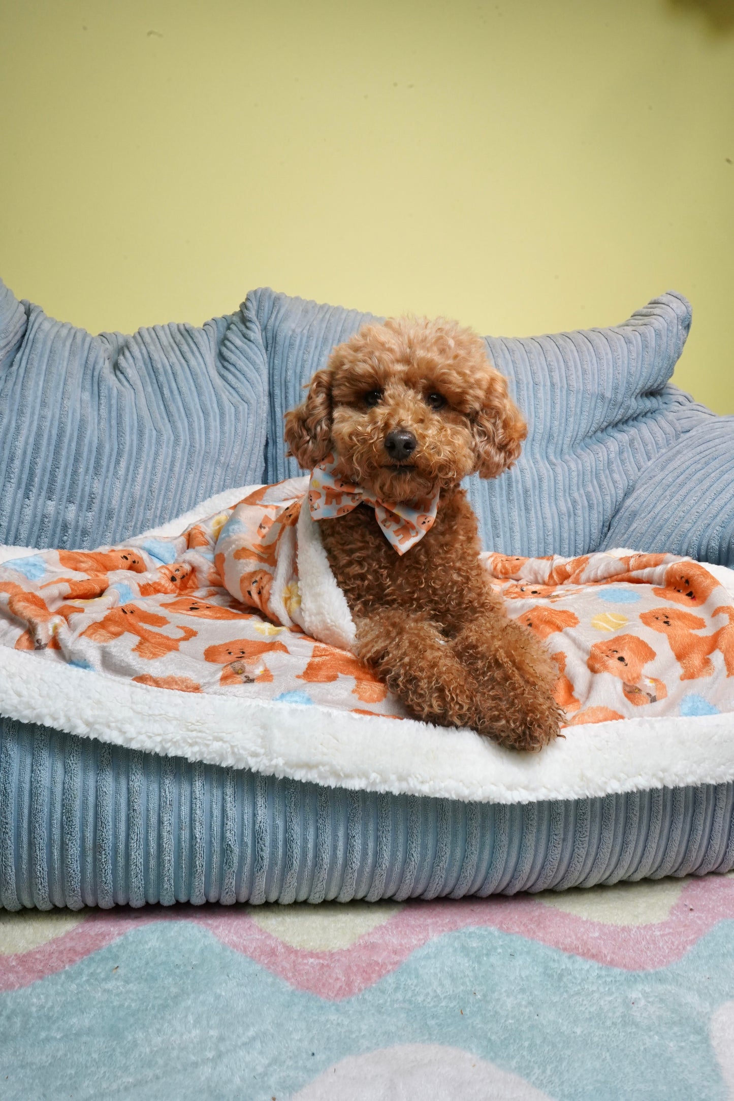 Blankie - Curly Club Collection