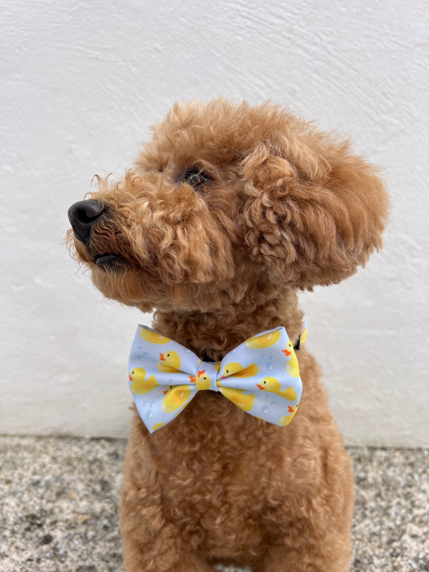 Bow Tie - You Quack Me Up!