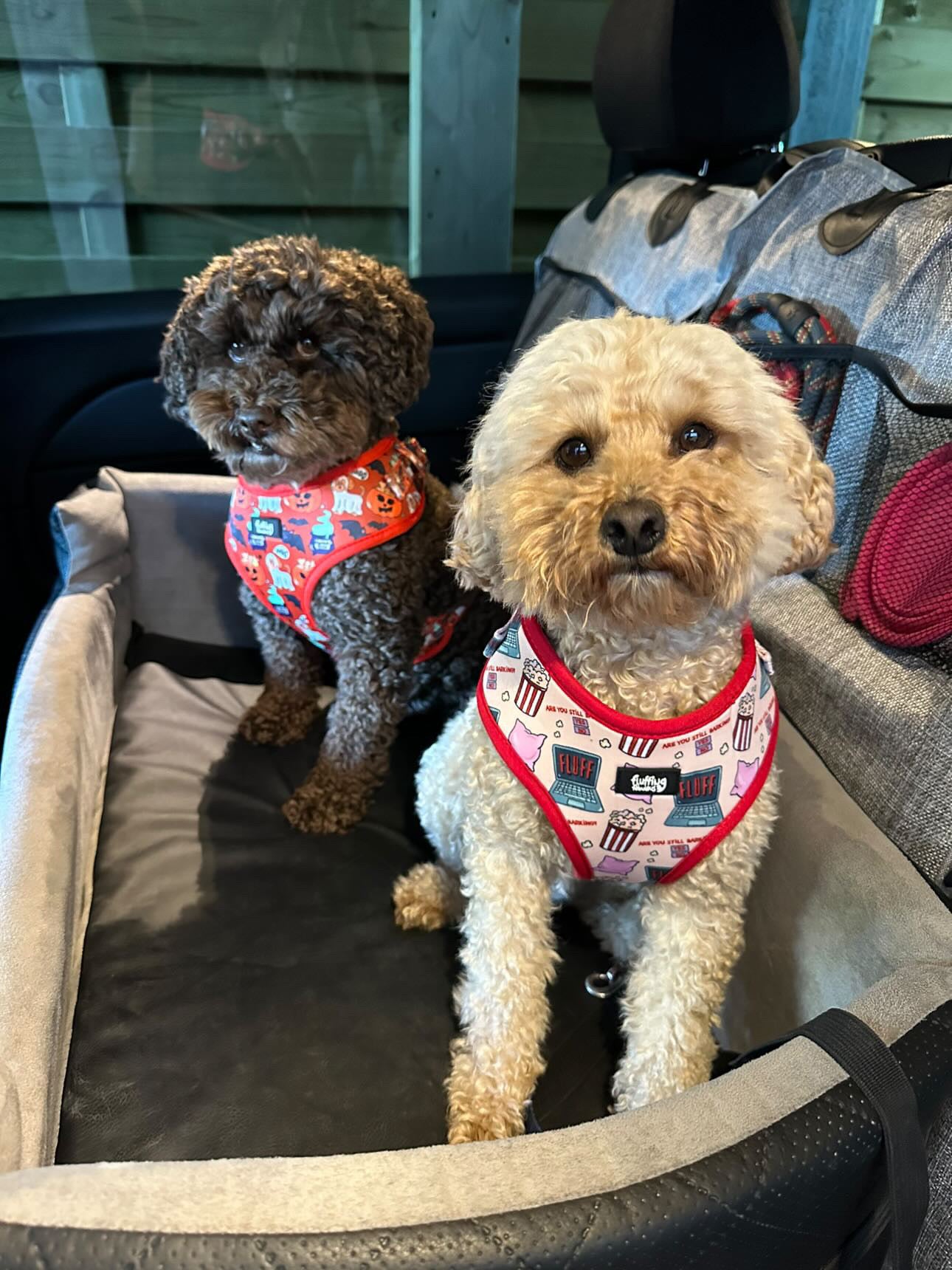 Adjustable Dog Harness - Fluff And Chill