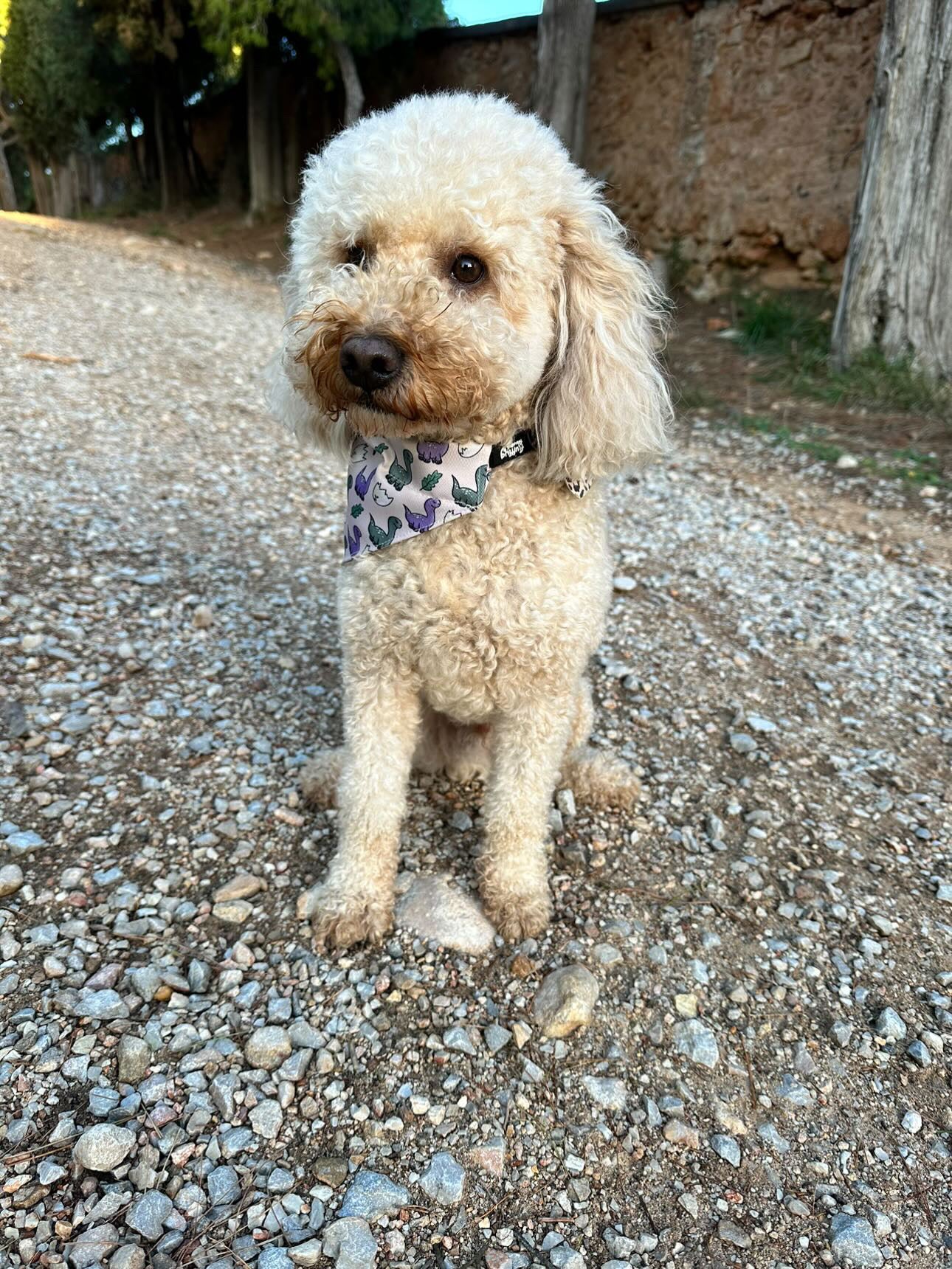 Bandana Loop Through - Doggosaur