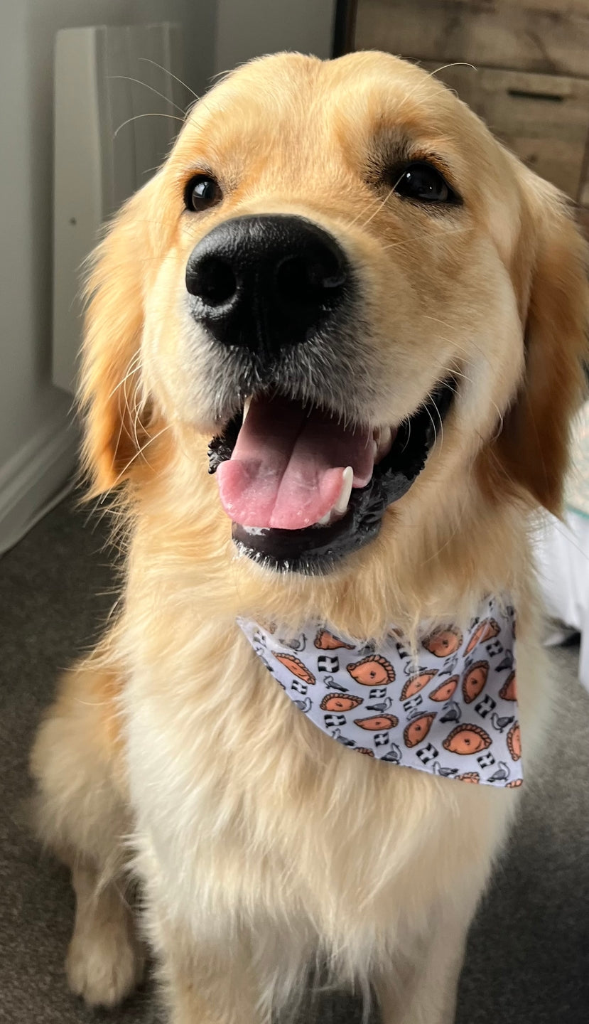 Bandana Loop Through - Oggy Oggy Doggy