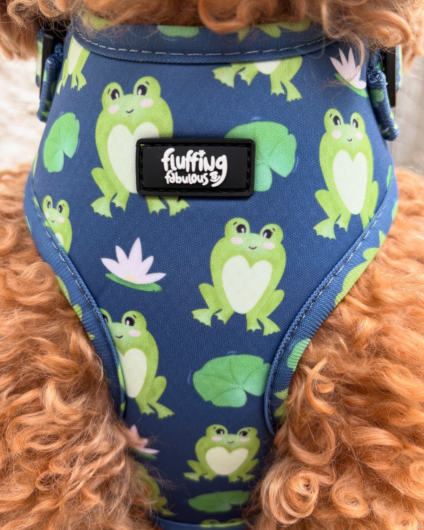 Adjustable Dog Harness - Frogging Fabulous