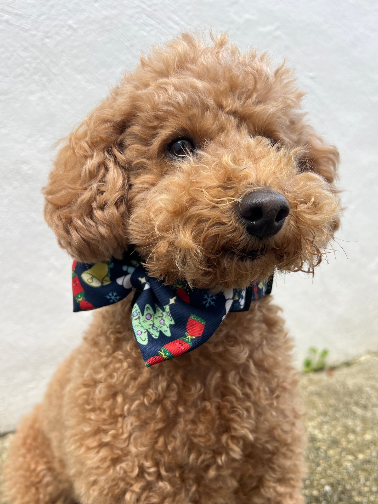 Bow tie - Do you wanne build a snow dog?