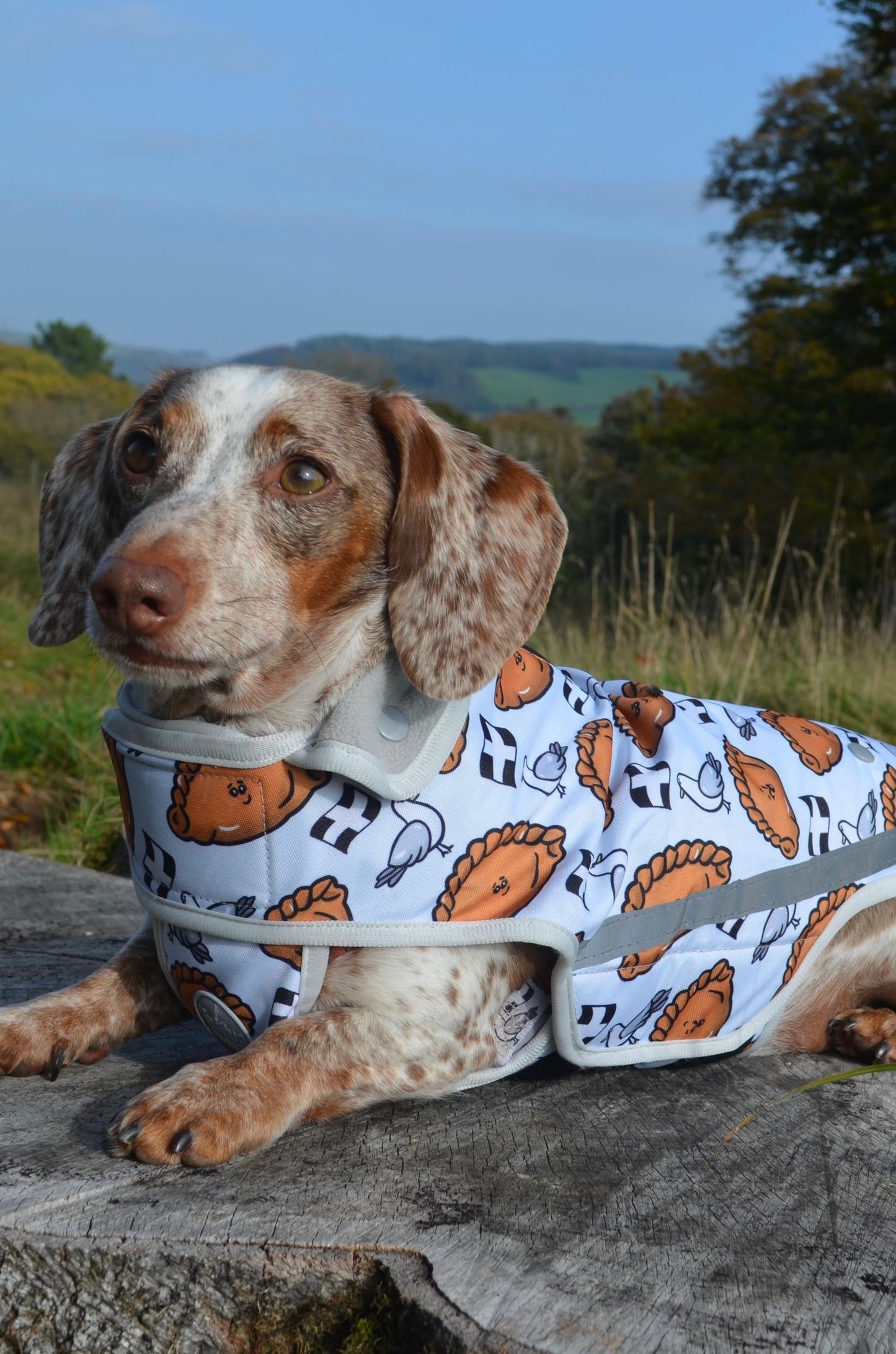 Rain Jacket - Oggy Oggy Doggy