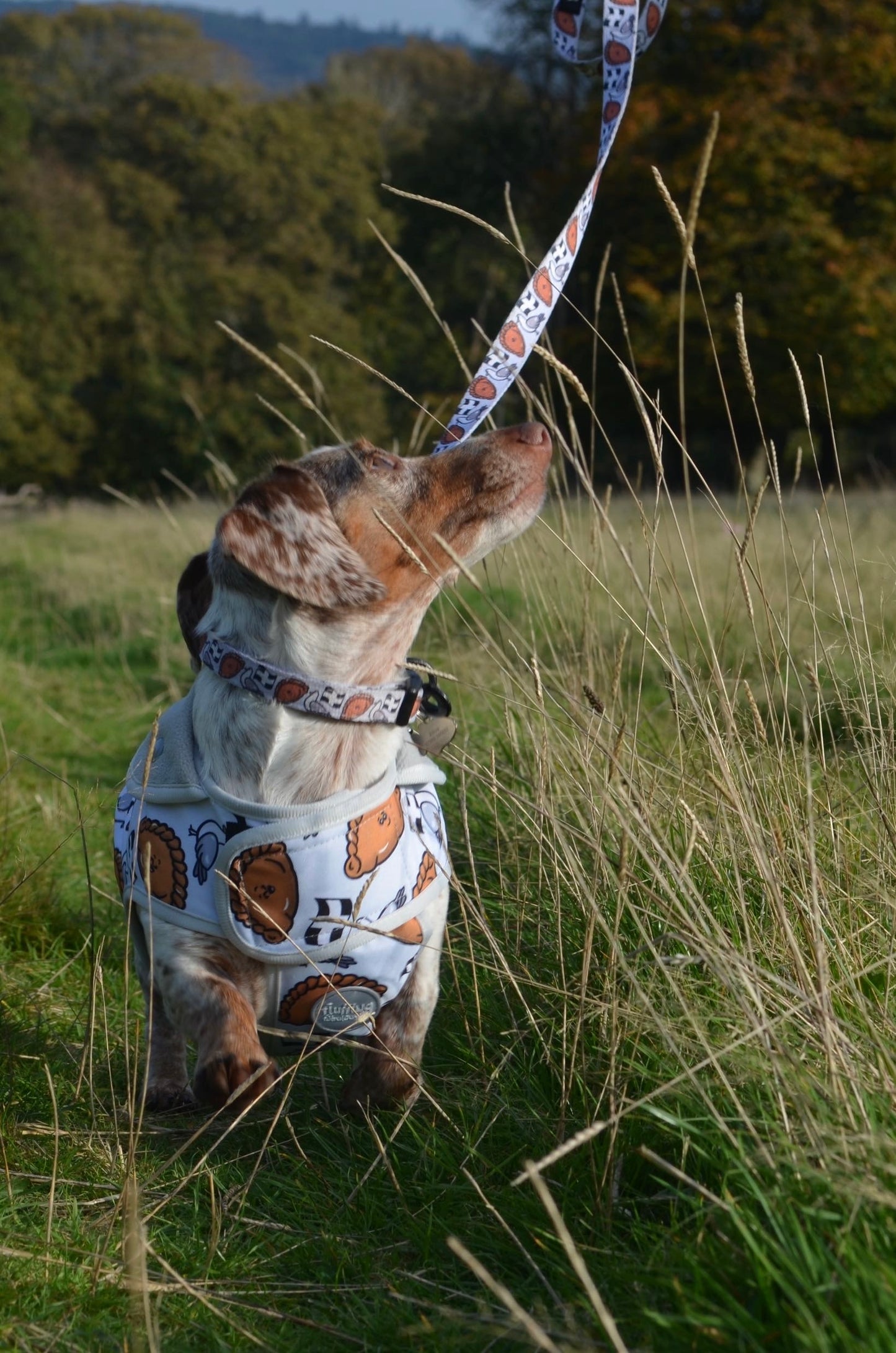 Rain Jacket - Oggy Oggy Doggy