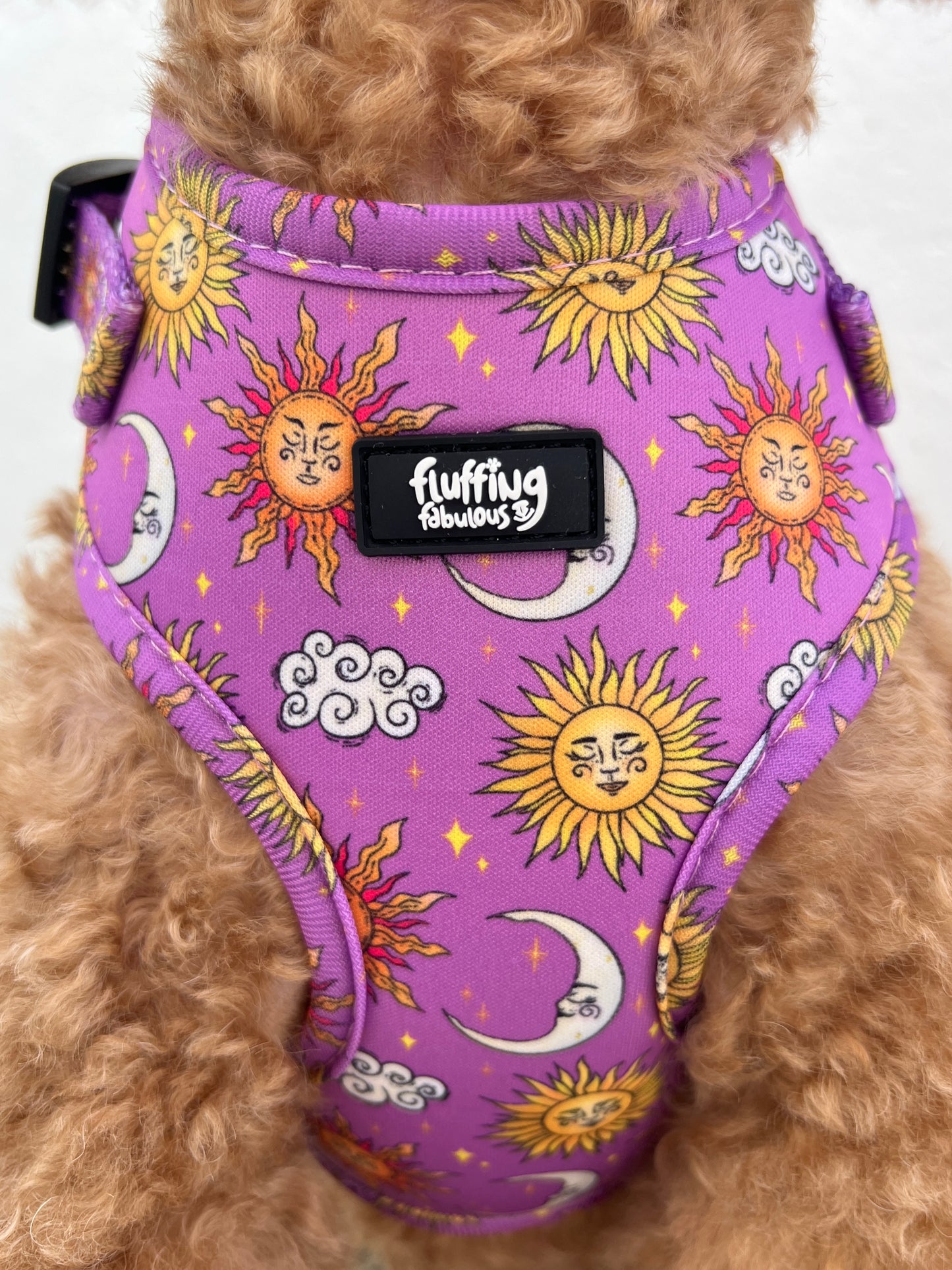 Adjustable Dog Harness - Sunsational