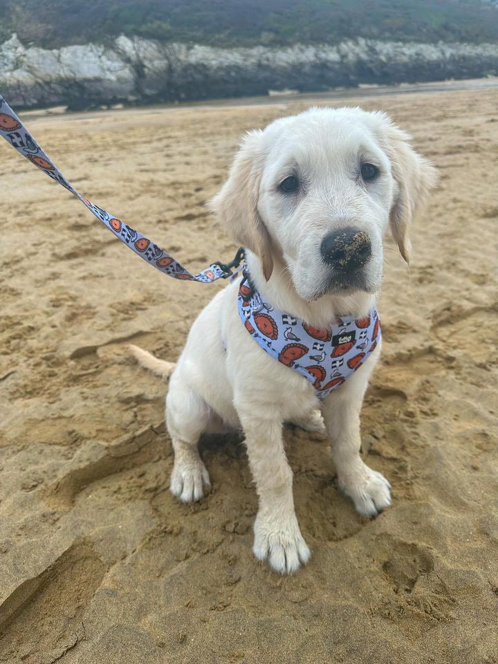 Adjustable Dog Harness - Oggy Oggy Doggy!