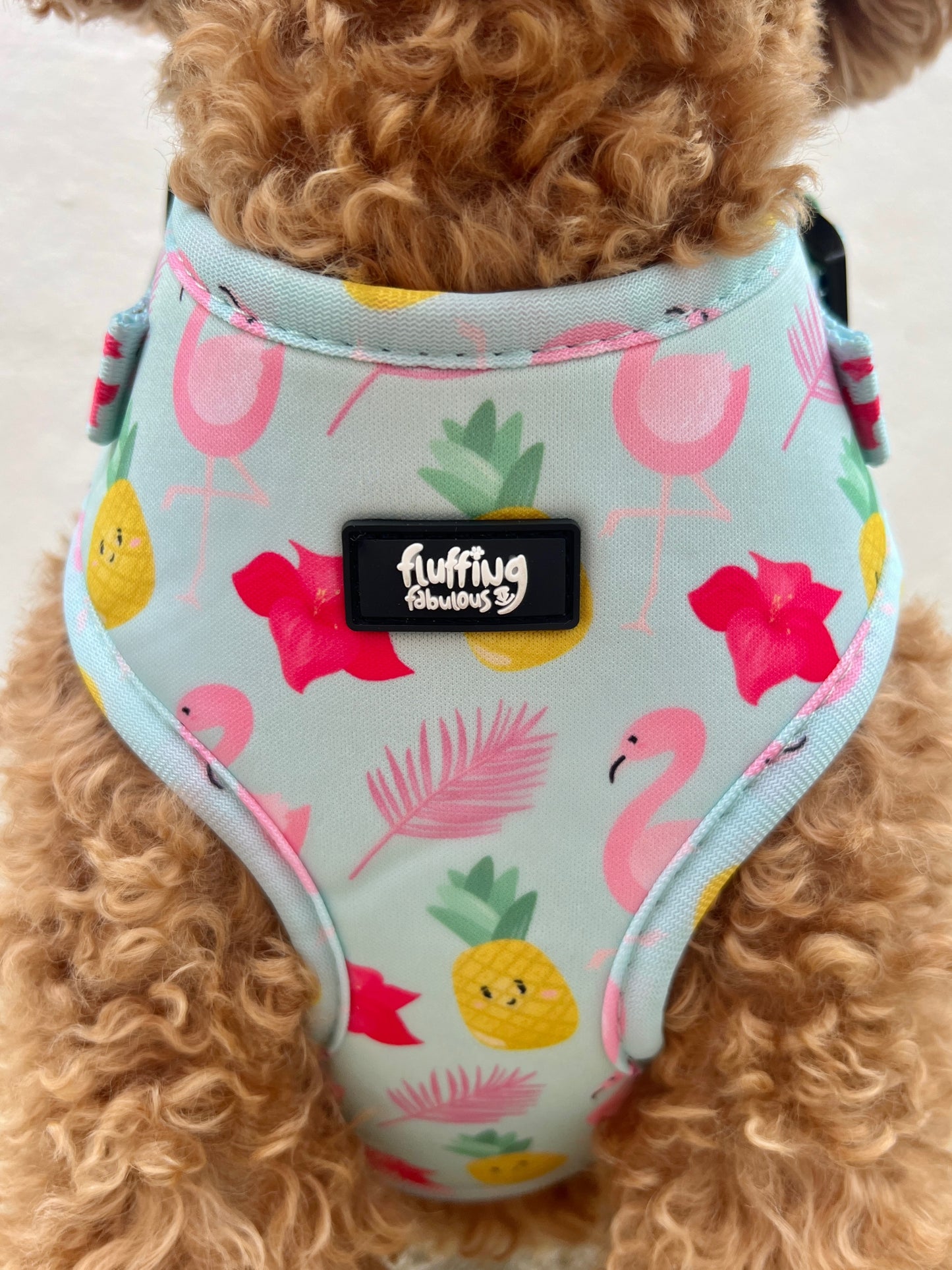 Adjustable Dog Harness - Flufingo!