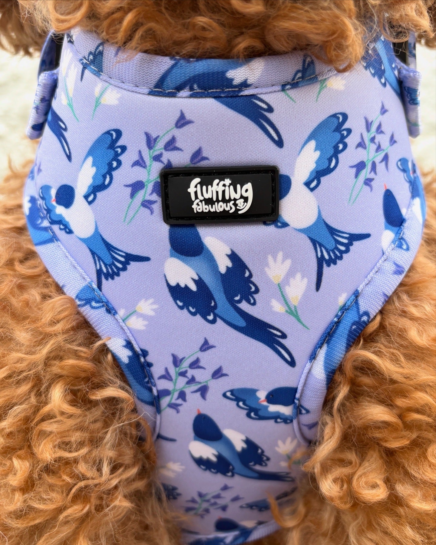 Adjustable Dog Harness - Two For Joy