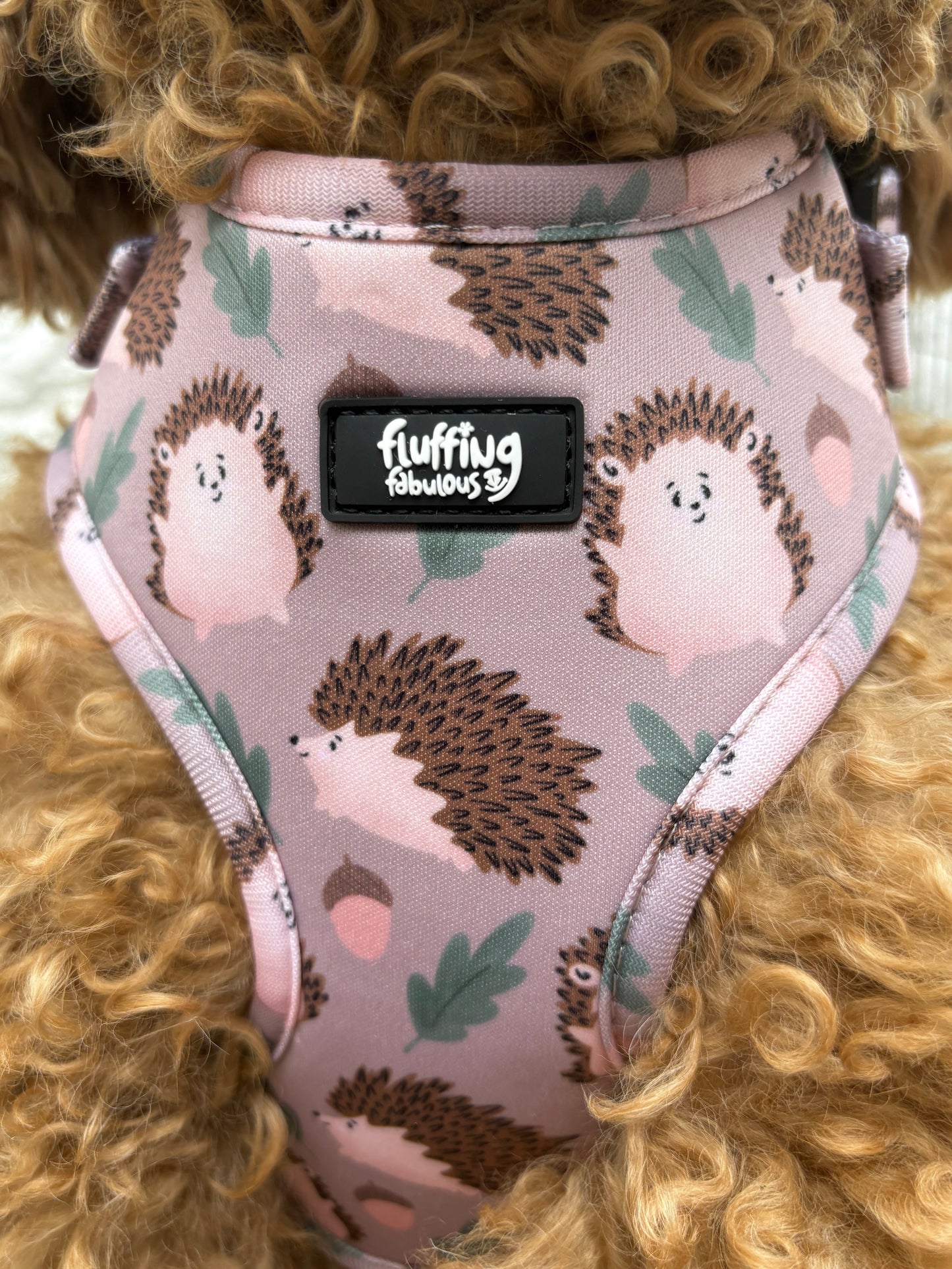 Adjustable Dog Harness - In A Prickle