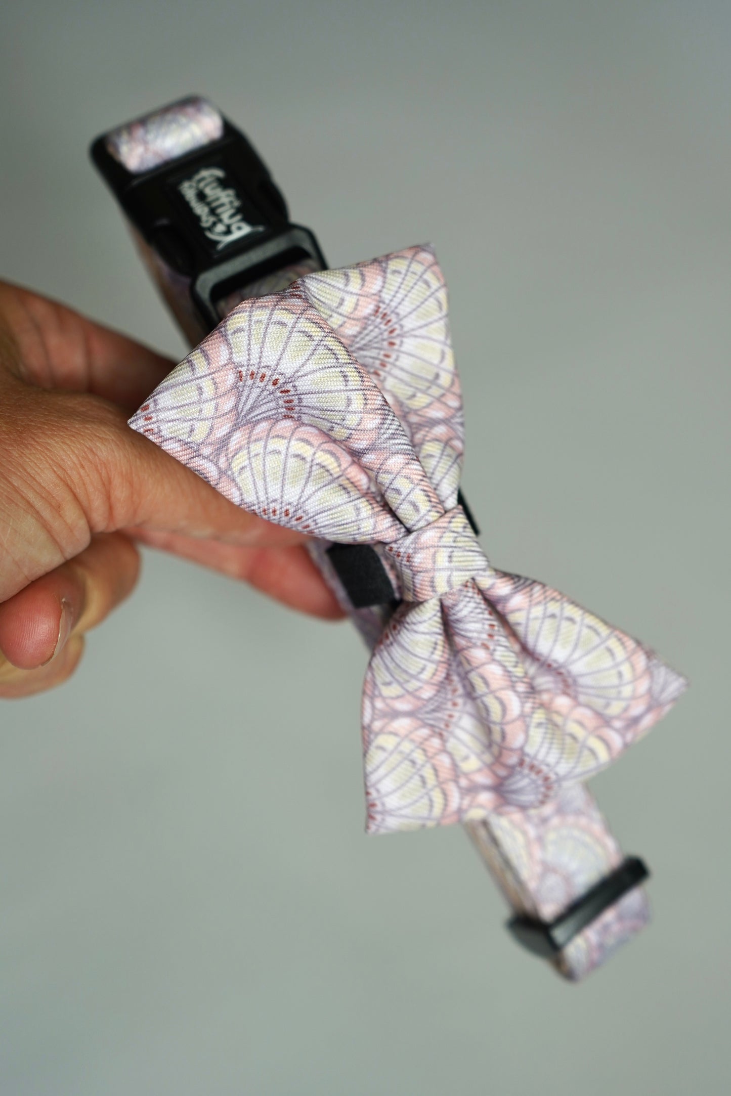 Bow Tie - Shell Yeah!