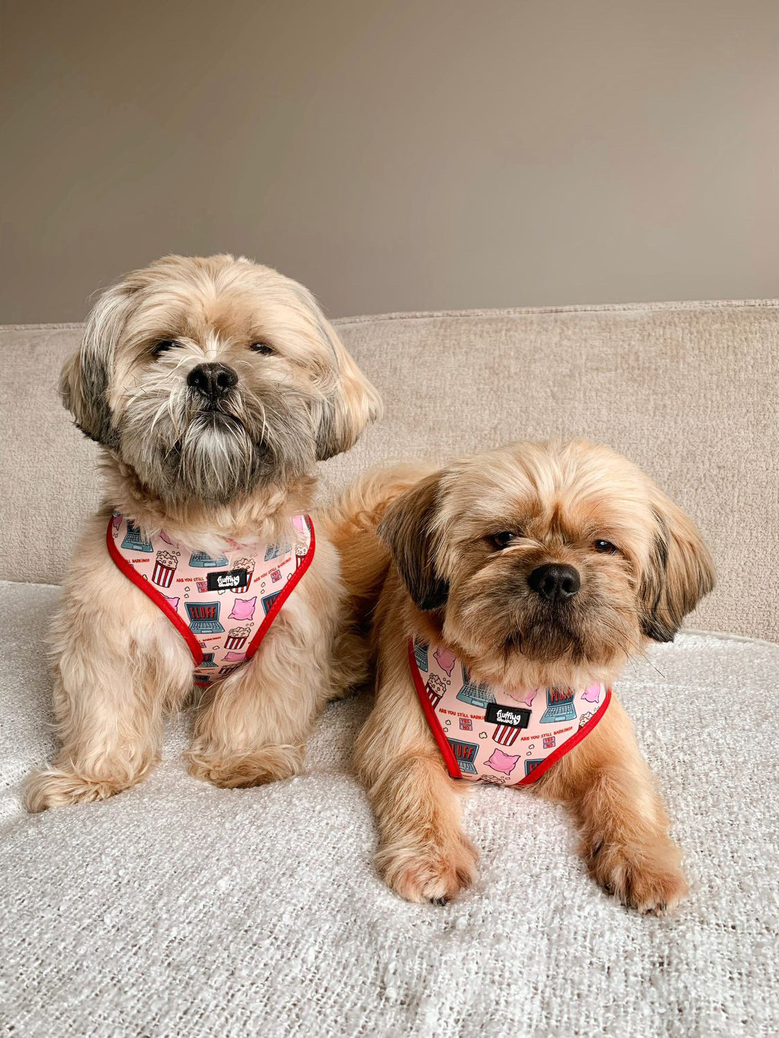 Adjustable Dog Harness - Fluff And Chill