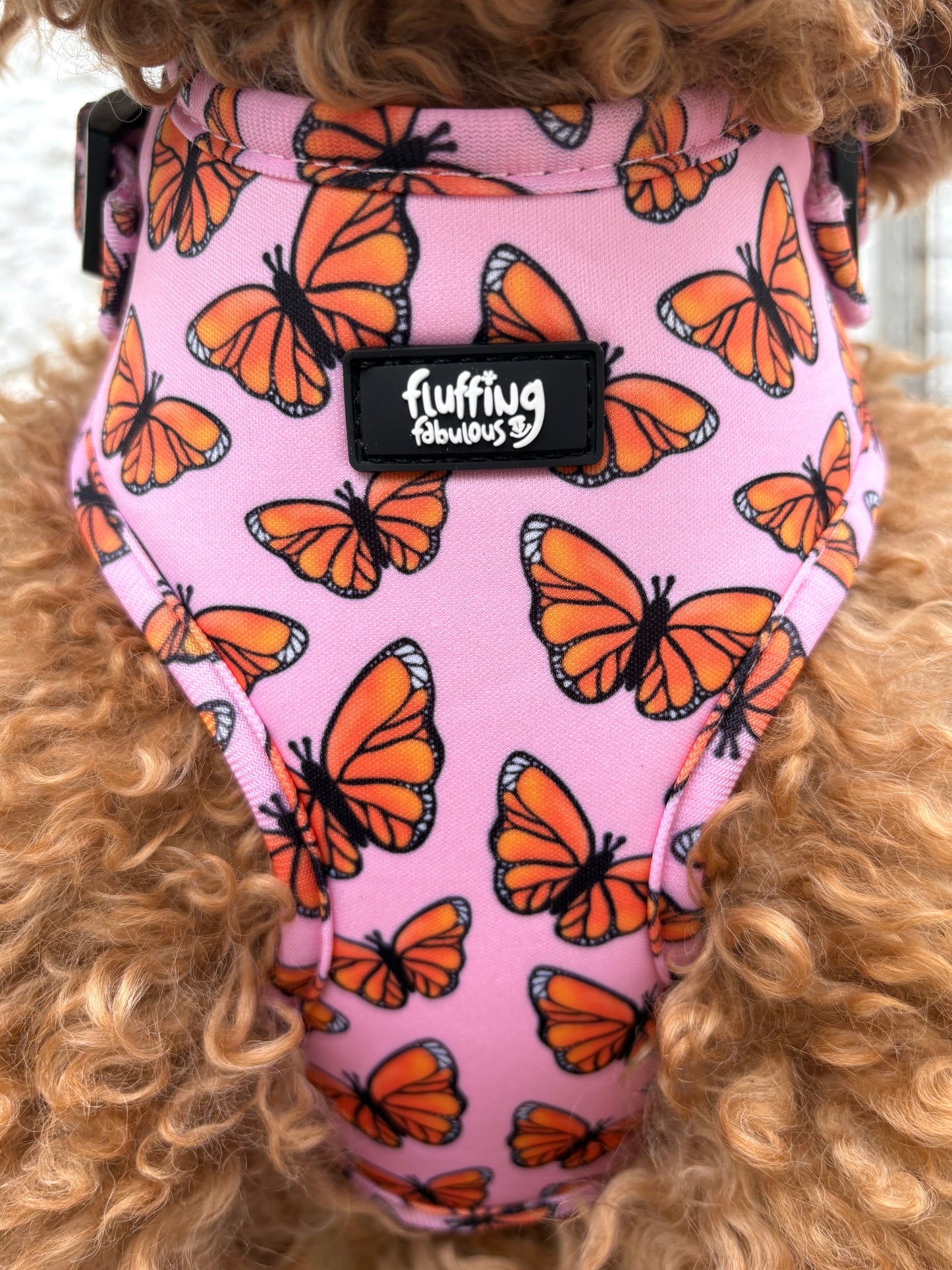 Adjustable Dog Harness - Winging it