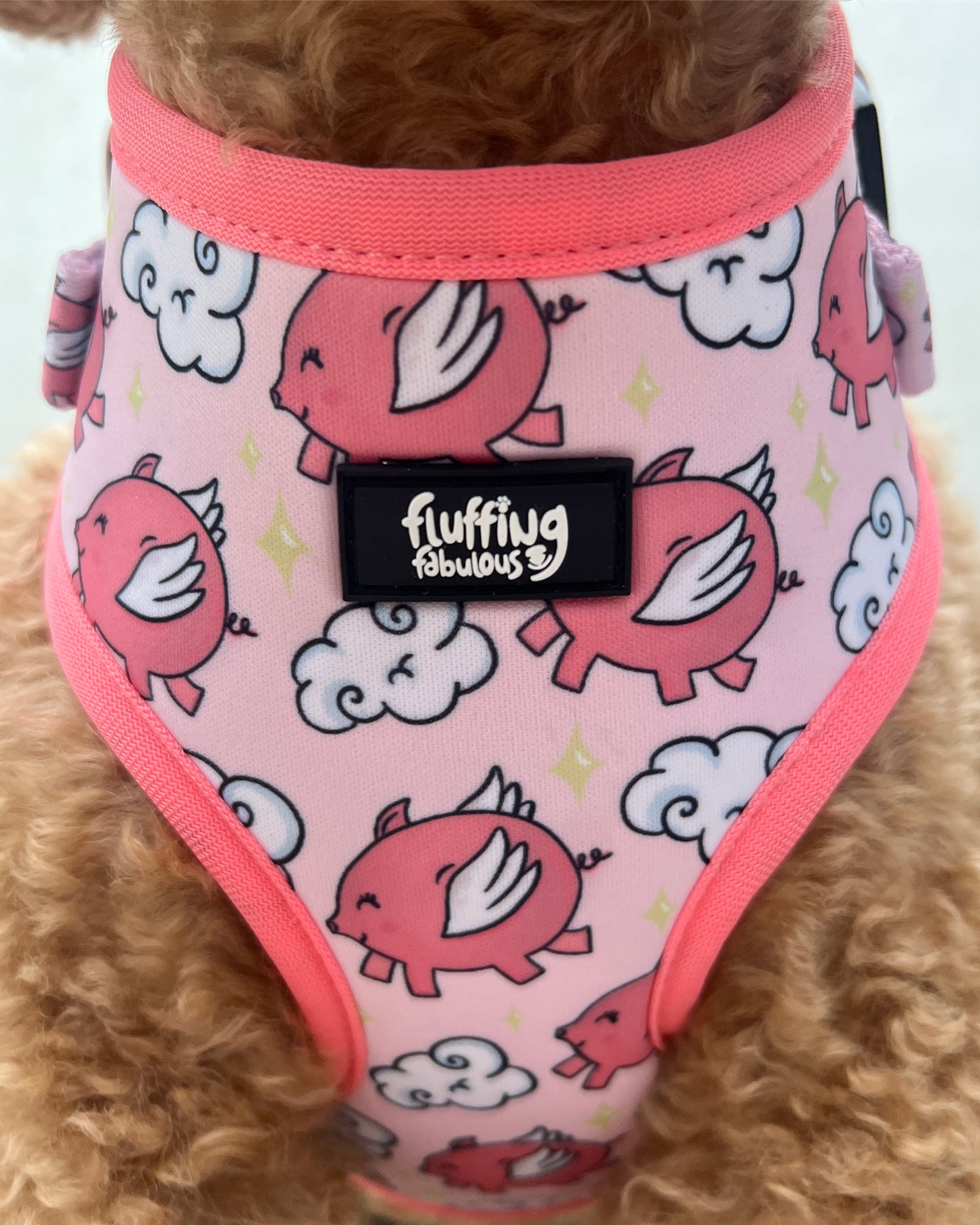 Adjustable Dog Harness - Pigasus