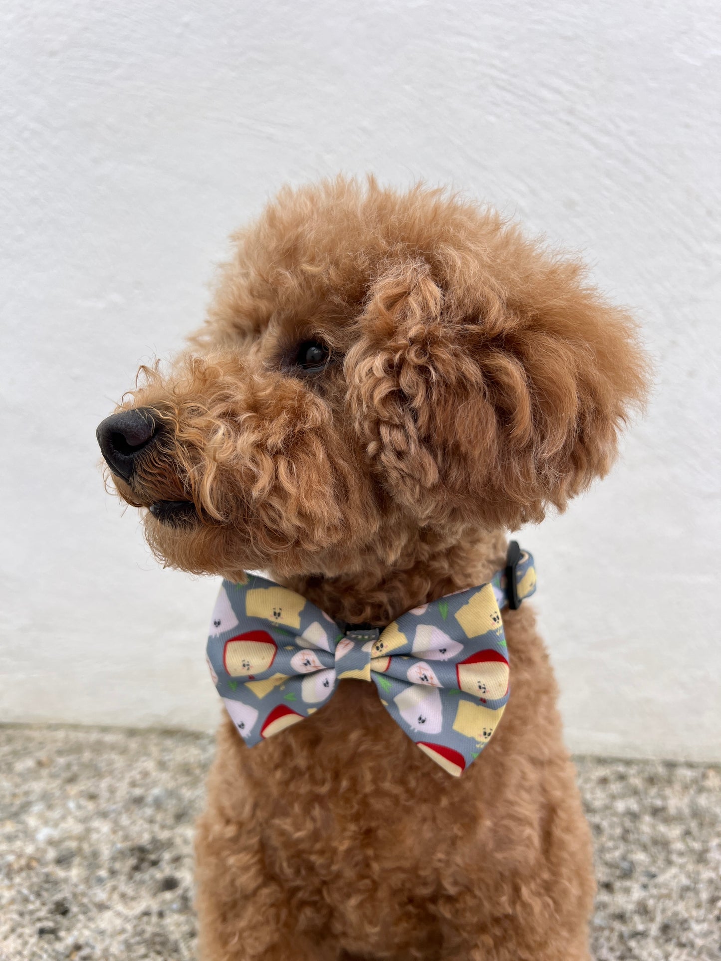 Bow Tie - We Brie'long Together