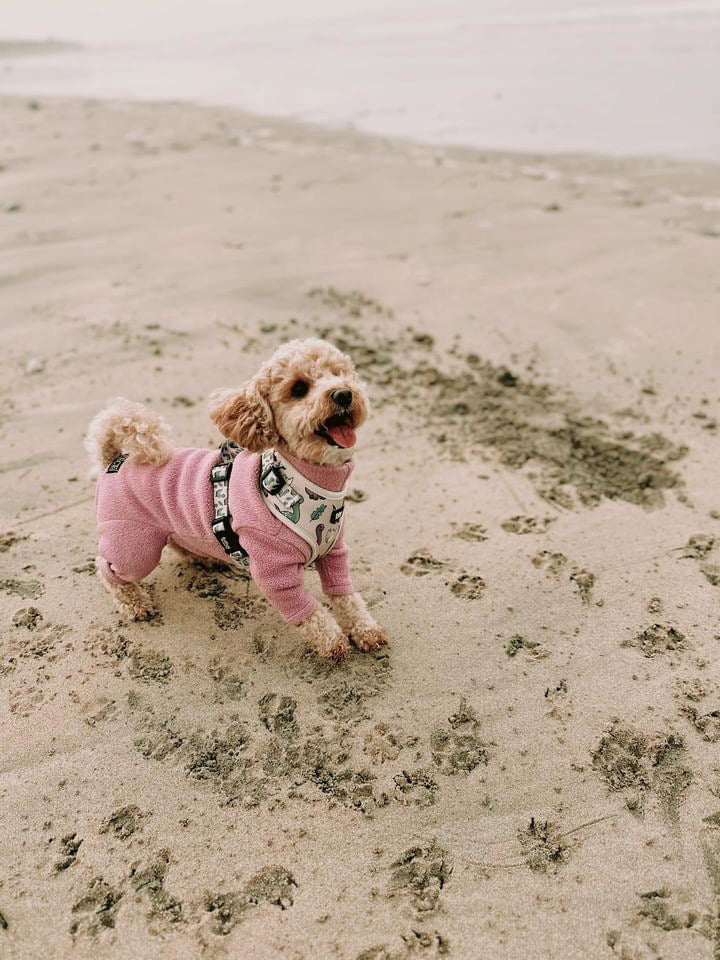 Adjustable Dog Harness - Doggosaur