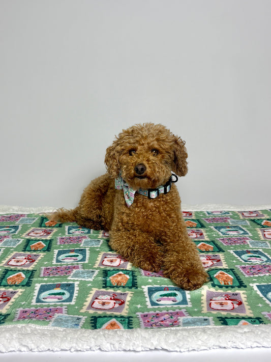 Dog Blankie - Jingle Mail