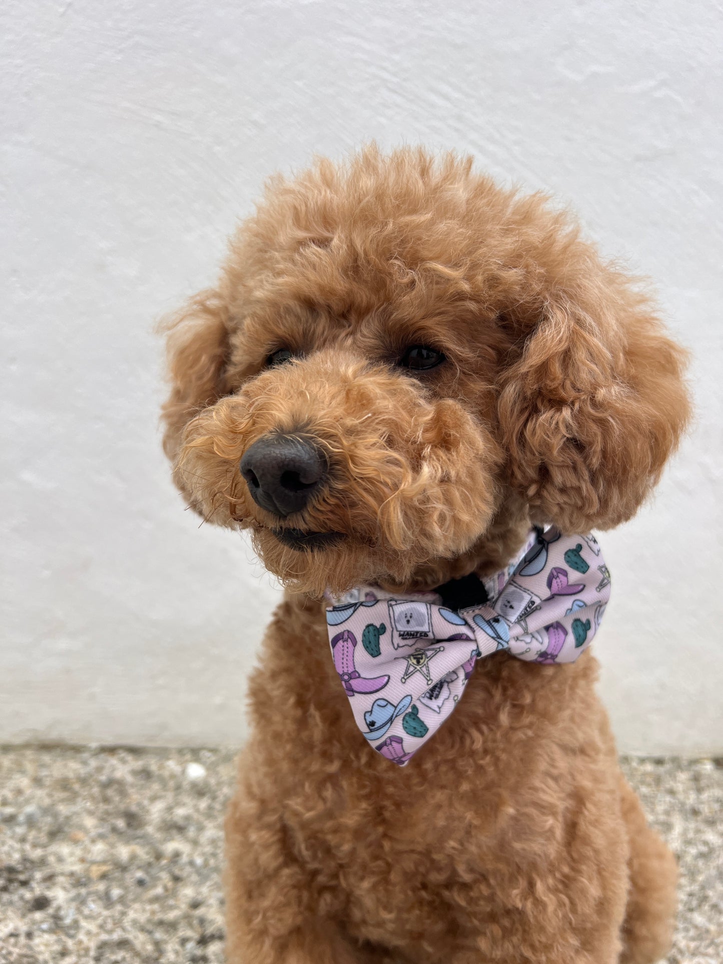 Bow Tie - YEHAAA Hun!