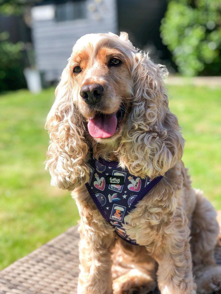 Dog Harness - Pawtune Teller