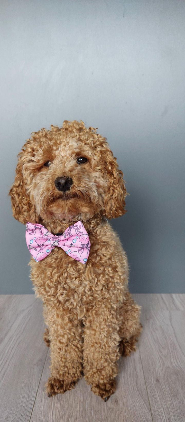 Bow Tie - Don't Be Jelly