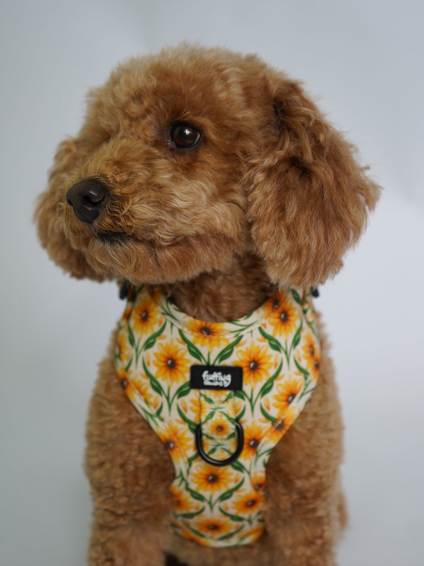 Adjustable Dog Harness - Sunny Paws
