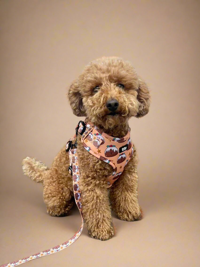 Adjustable Dog Harness - All Good In The Pud