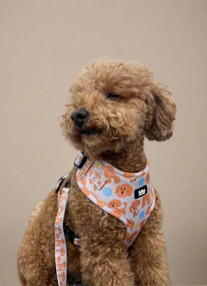 Adjustable Dog Harness - Curly Club Collection