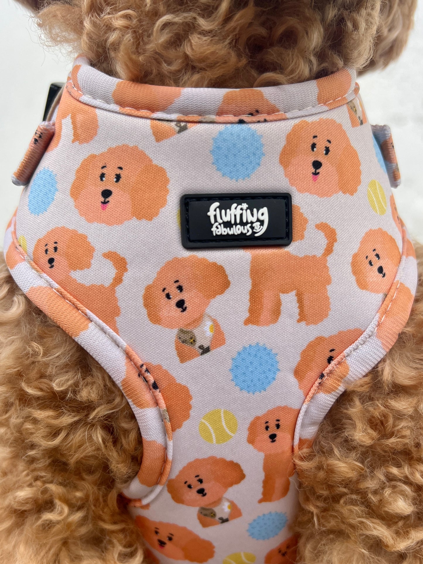 Adjustable Dog Harness - Curly Club Collection