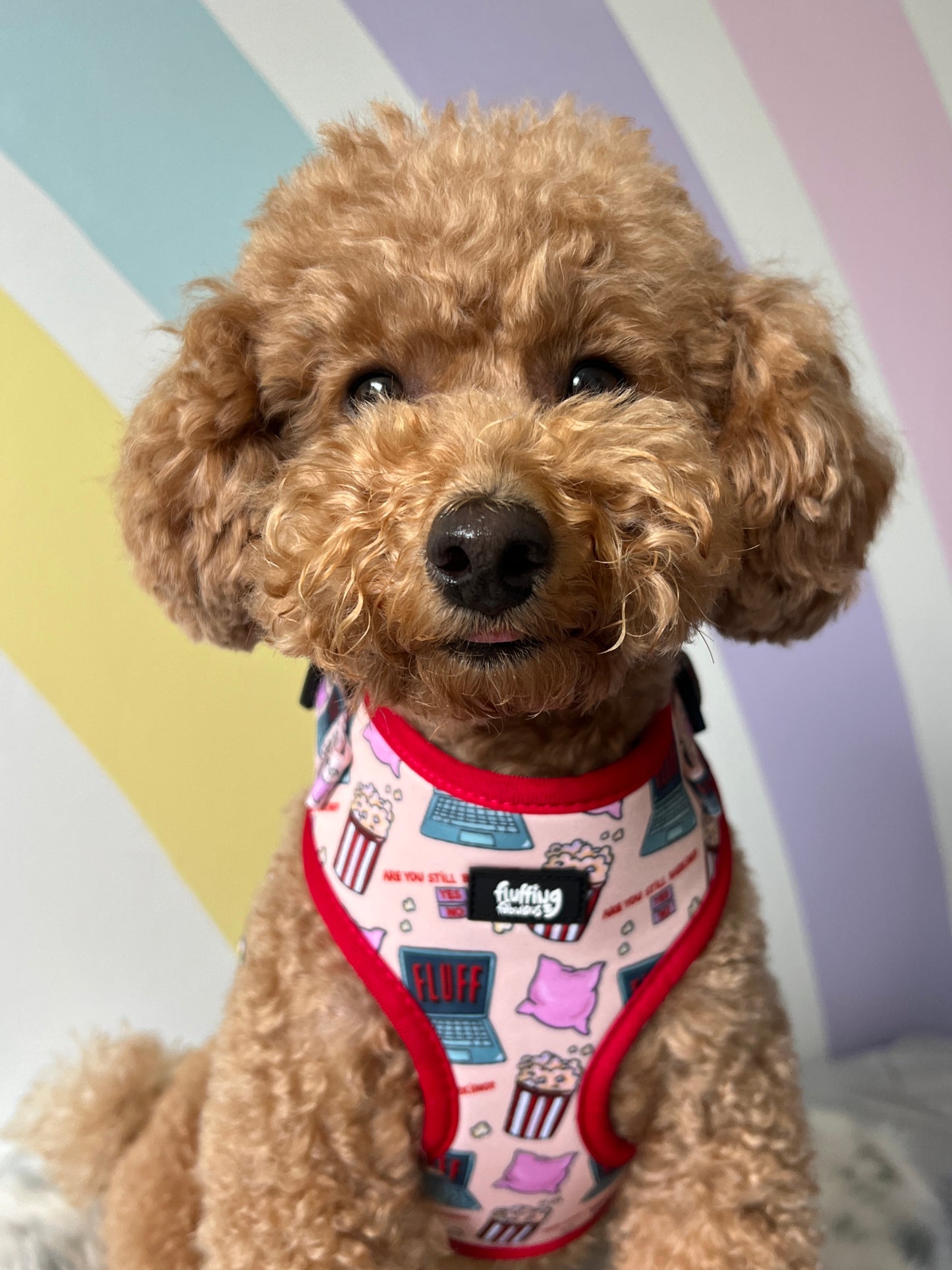 Adjustable Dog Harness - Fluff And Chill