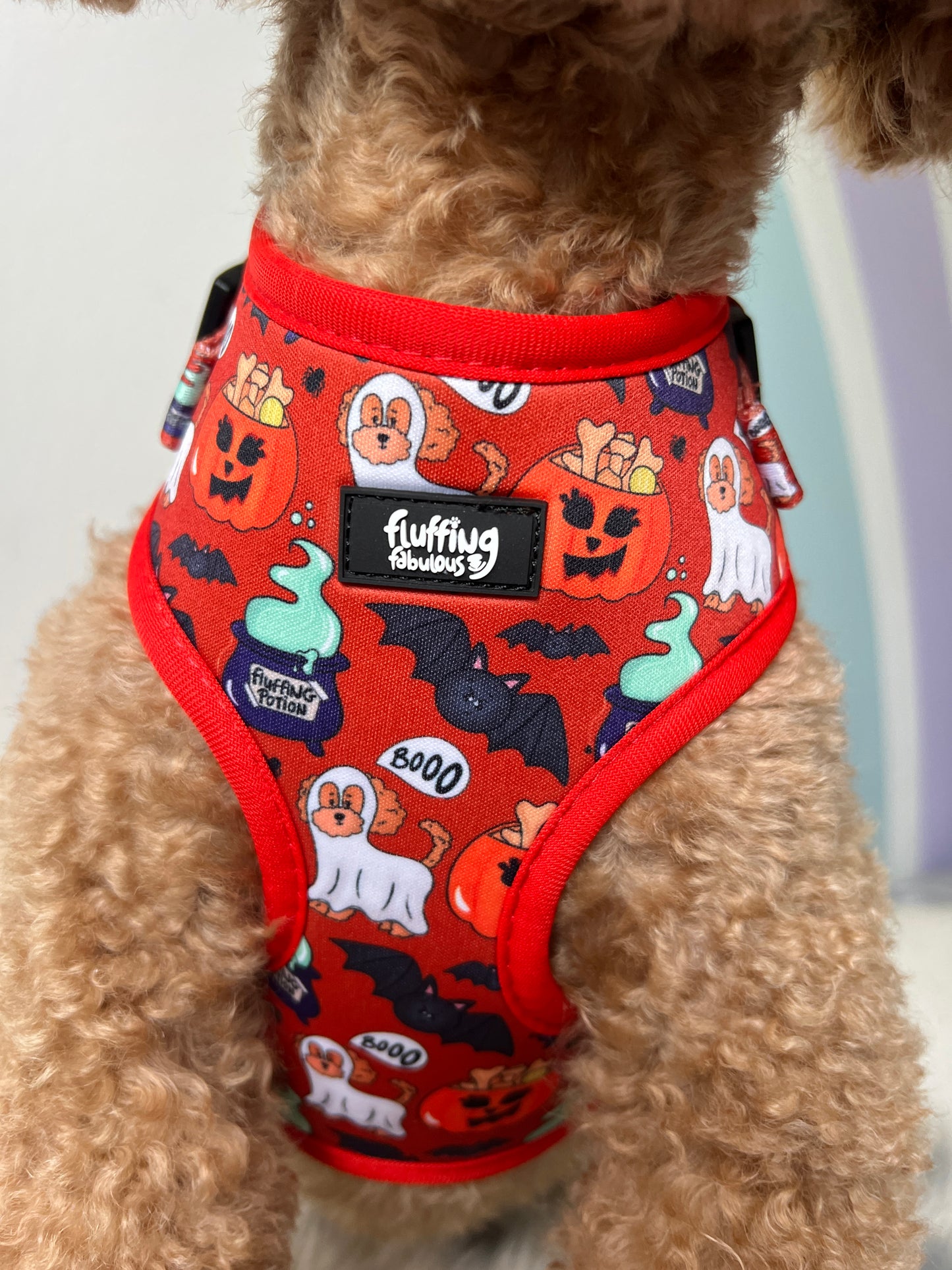 Adjustable Dog Harness - Trick Or Treatos!
