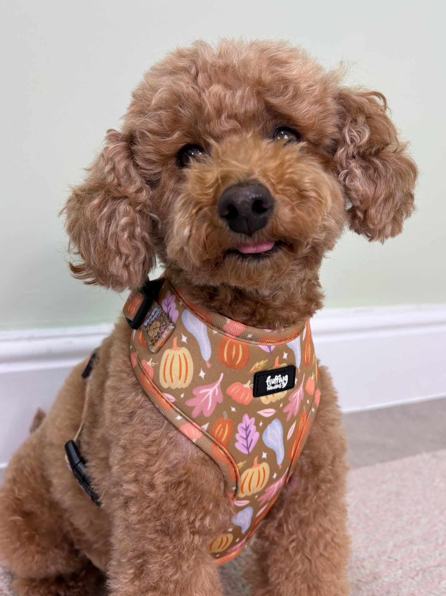 Adjustable Dog Harness - Falling For You
