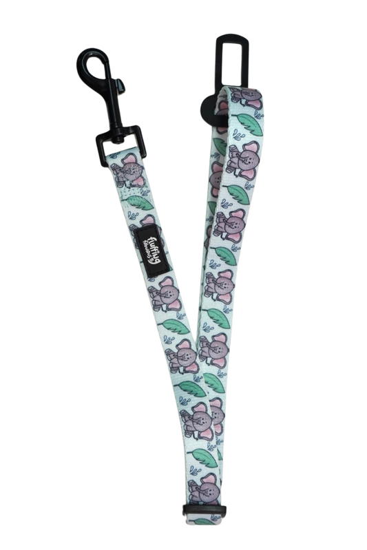 Seatbelt - Let's Get Trunk