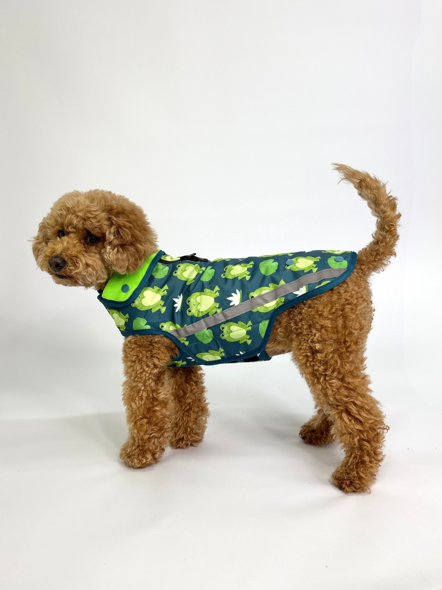 Rain Jacket - Frogging Fabulous