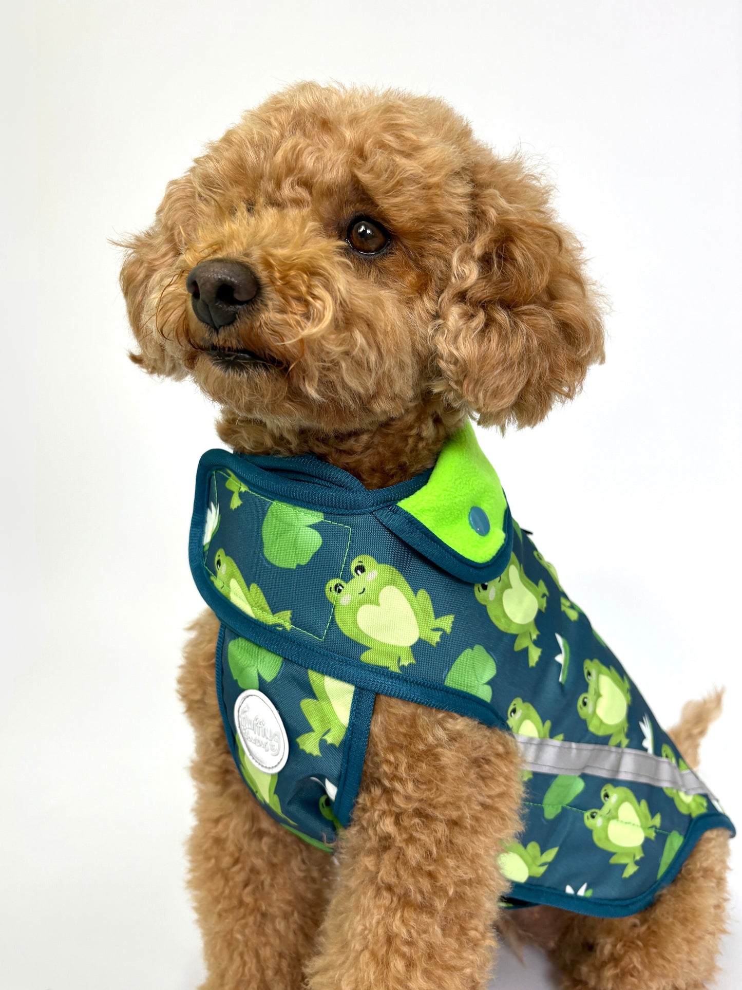 Rain Jacket - Frogging Fabulous