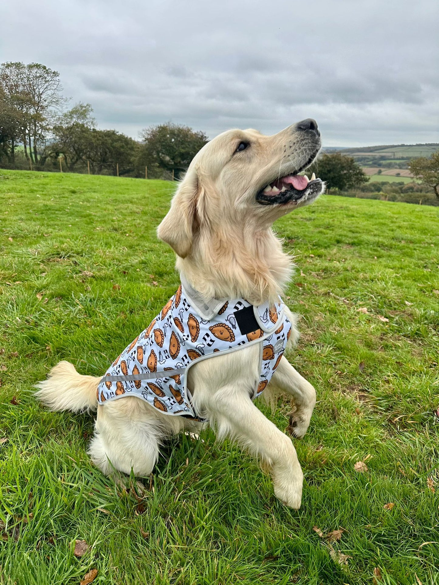 Rain Jacket - Oggy Oggy Doggy