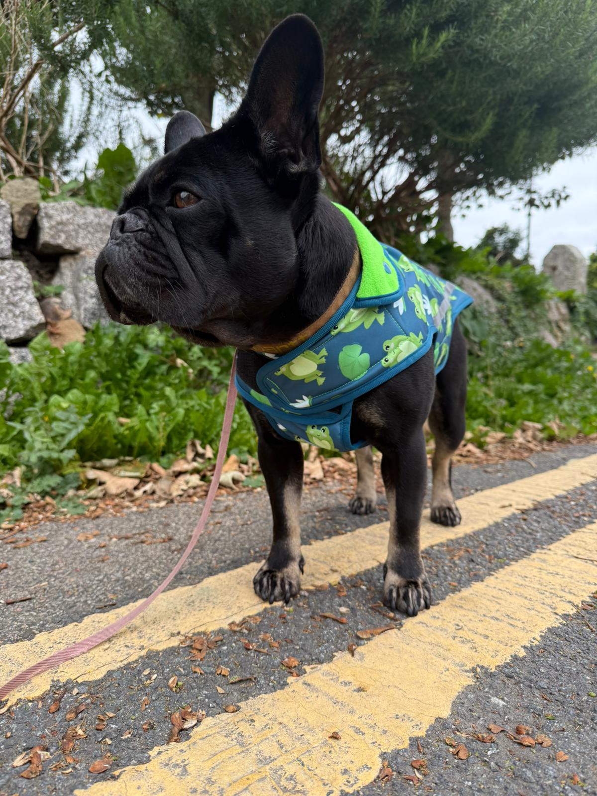 Rain Jacket - Frogging Fabulous