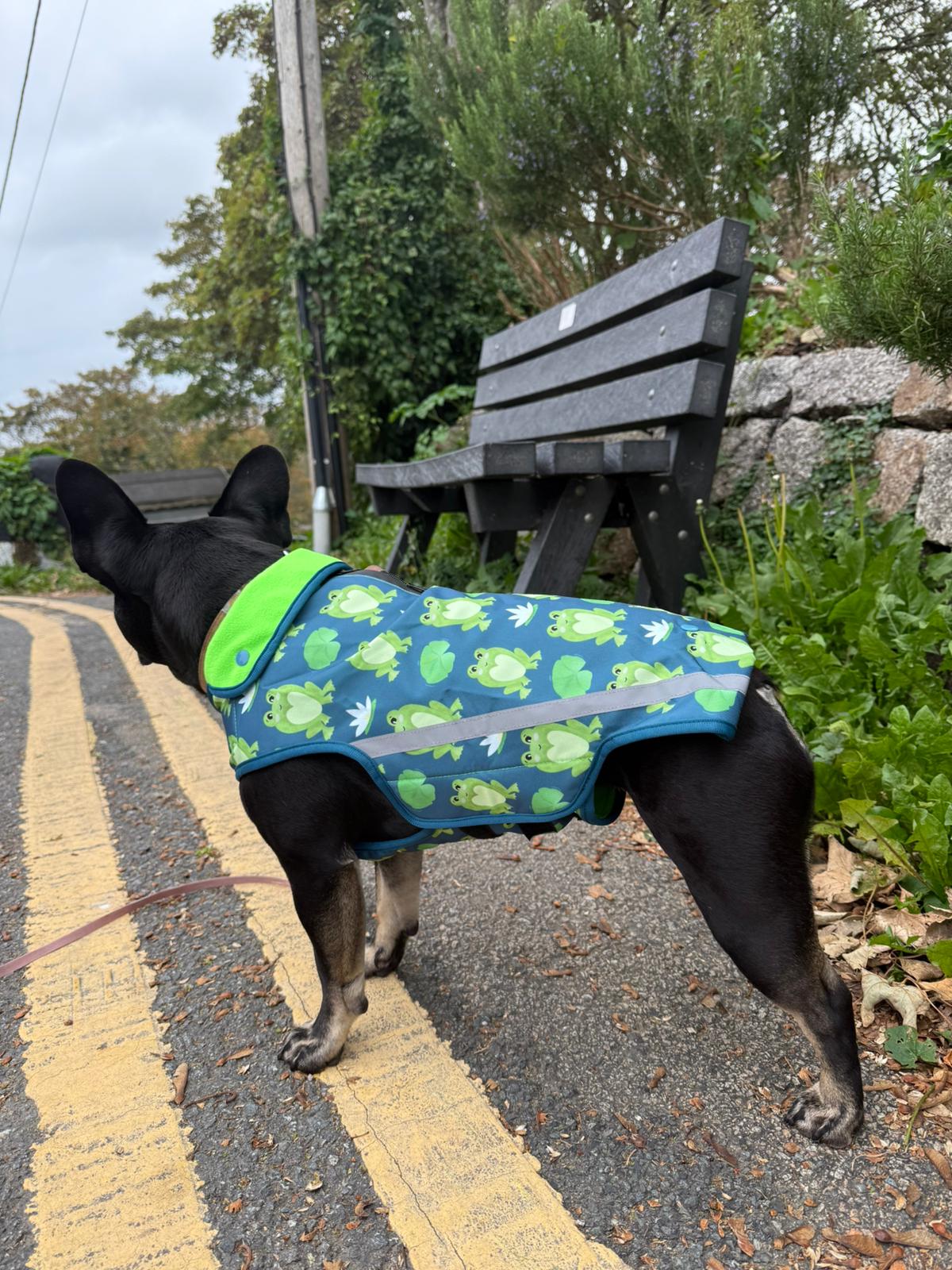 Rain Jacket - Frogging Fabulous