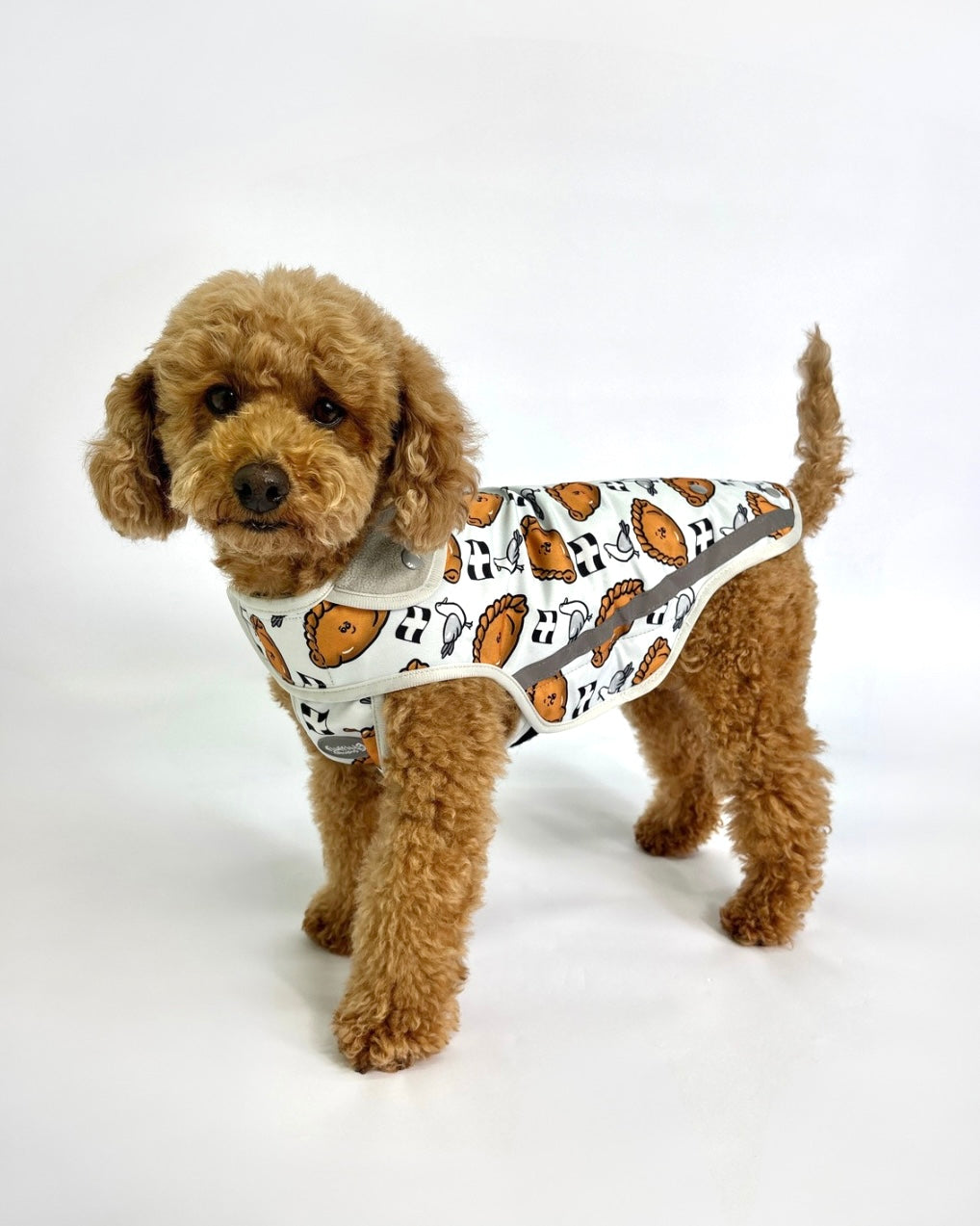 Rain Jacket - Oggy Oggy Doggy