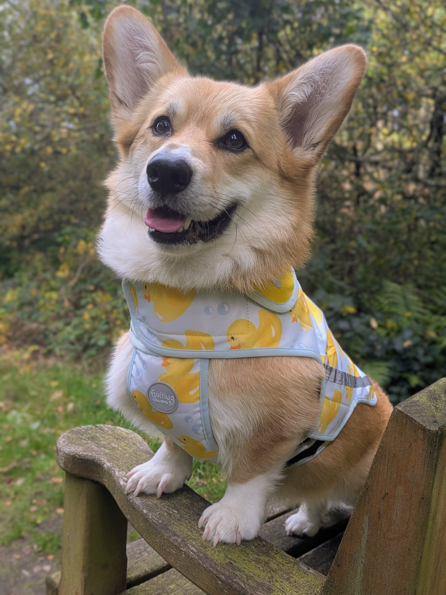 Rain Jacket - You Quack Me Up!