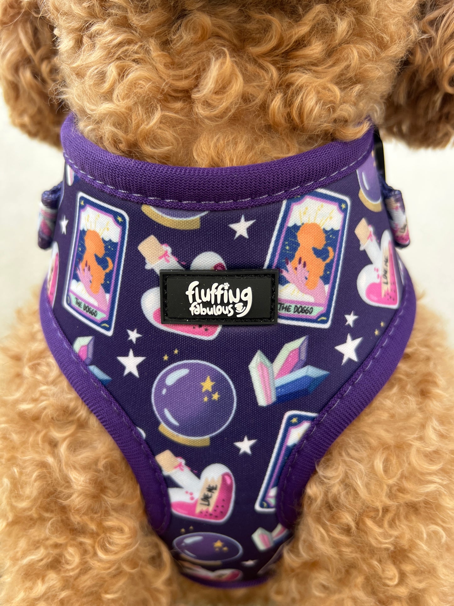 Dog Harness - Pawtune Teller