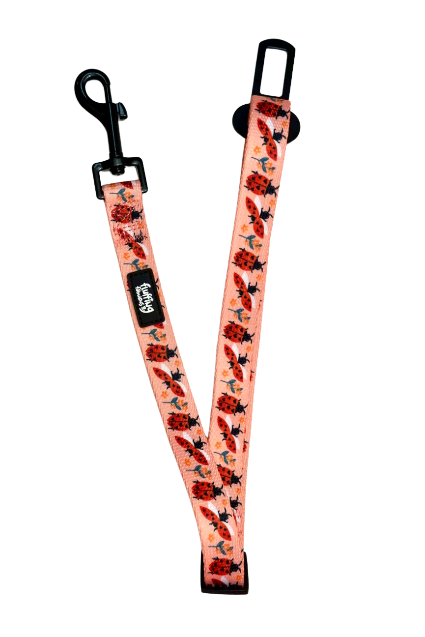 Seatbelt - Snug Like A Ladybug