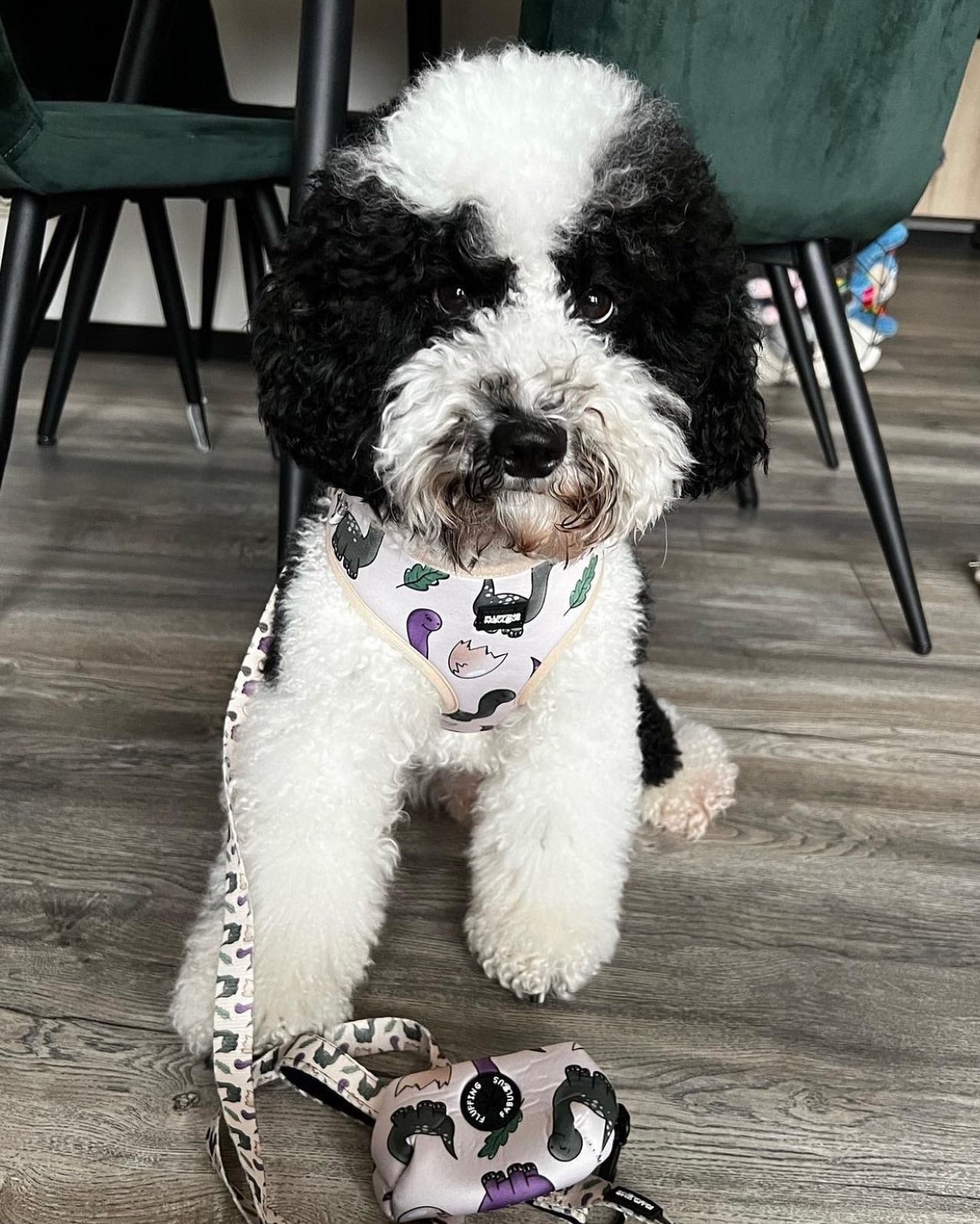 Adjustable Dog Harness - Doggosaur