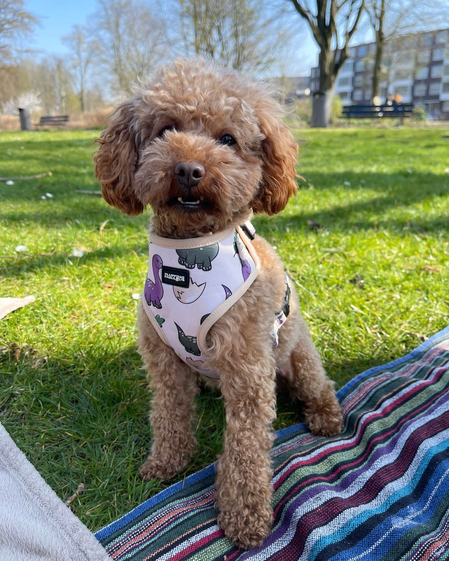 Adjustable Dog Harness - Doggosaur